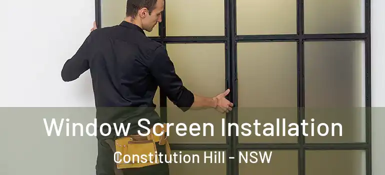 Window Screen Installation Constitution Hill - NSW