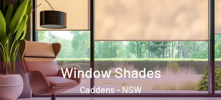 Window Shades Caddens - NSW