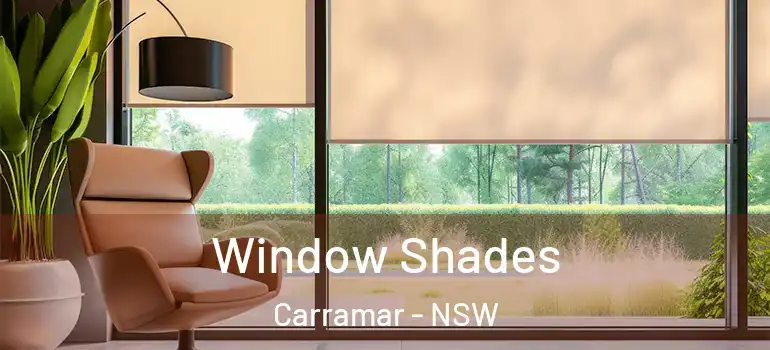 Window Shades Carramar - NSW