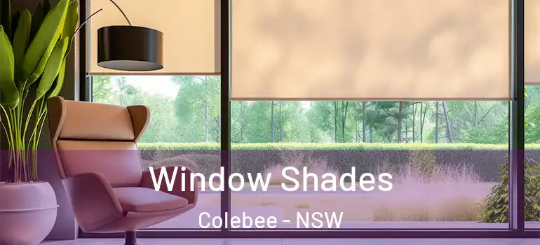 Window Shades Colebee - NSW