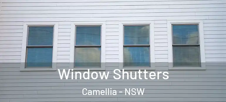  Window Shutters Camellia - NSW