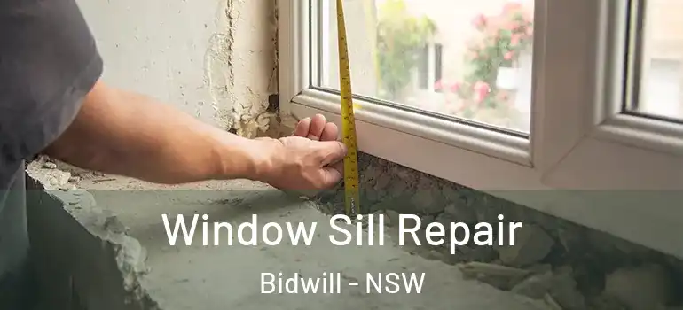 Window Sill Repair Bidwill - NSW