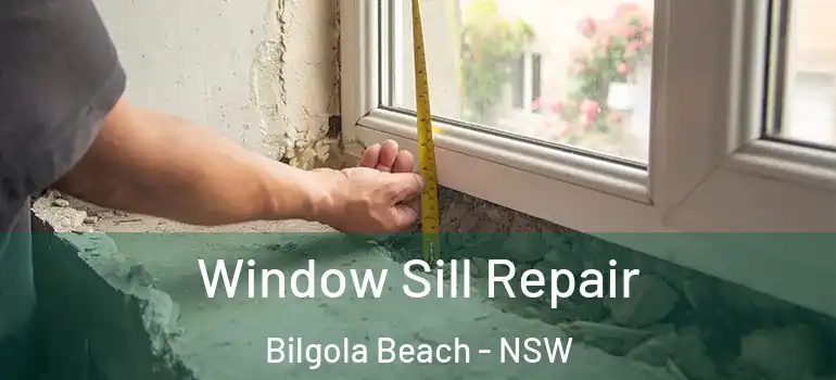  Window Sill Repair Bilgola Beach - NSW