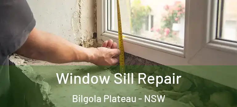 Window Sill Repair Bilgola Plateau - NSW