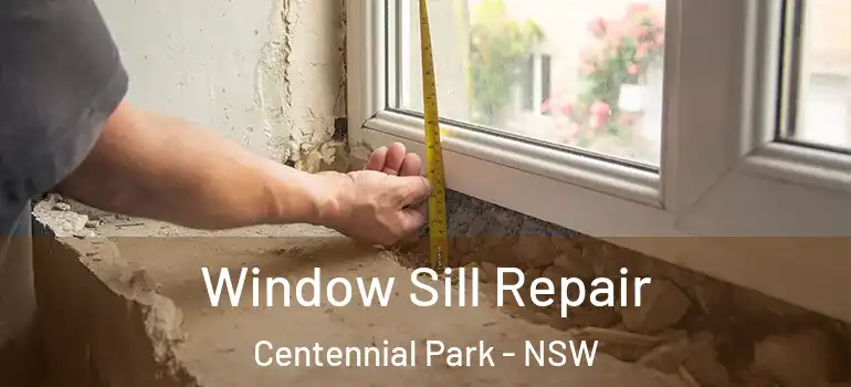  Window Sill Repair Centennial Park - NSW