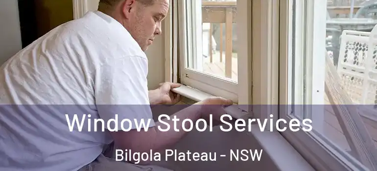  Window Stool Services Bilgola Plateau - NSW