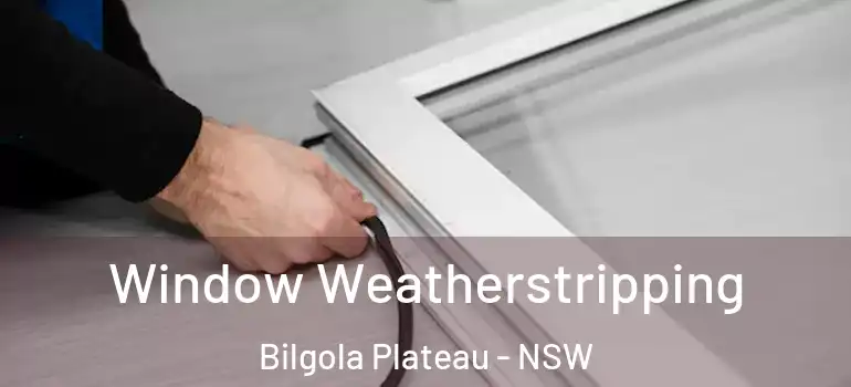Window Weatherstripping Bilgola Plateau - NSW