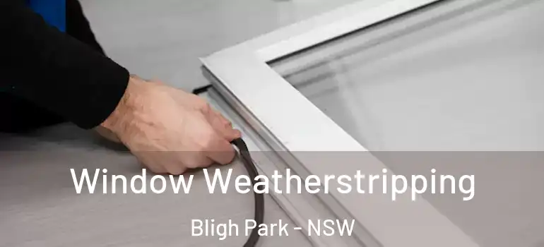 Window Weatherstripping Bligh Park - NSW