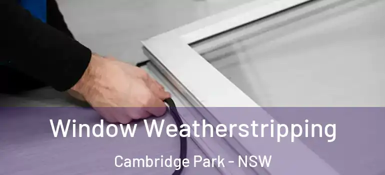 Window Weatherstripping Cambridge Park - NSW