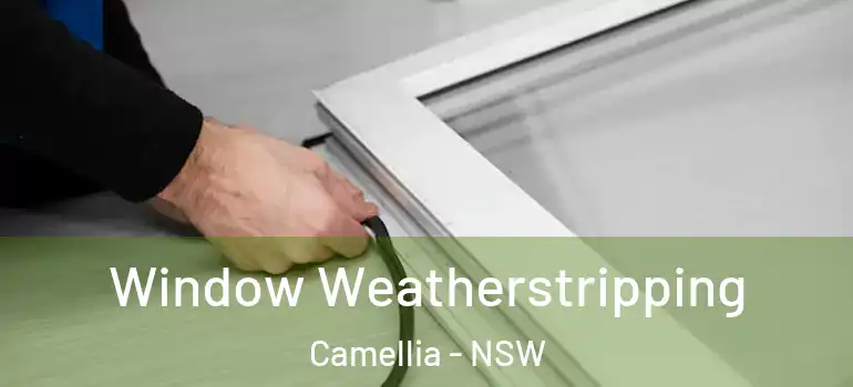 Window Weatherstripping Camellia - NSW