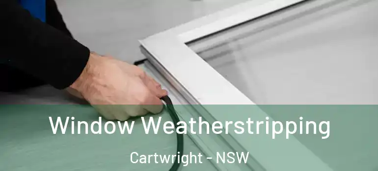  Window Weatherstripping Cartwright - NSW