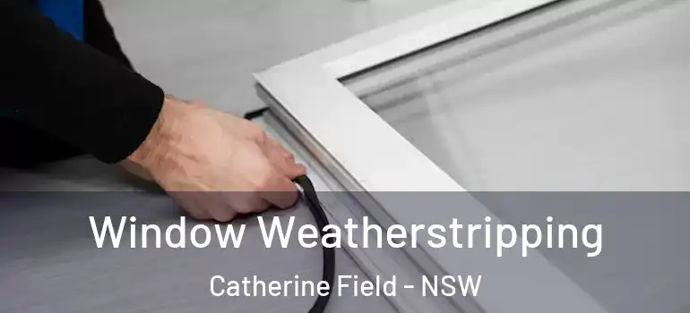  Window Weatherstripping Catherine Field - NSW