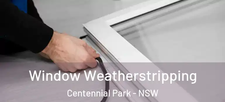 Window Weatherstripping Centennial Park - NSW