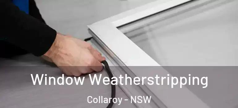 Window Weatherstripping Collaroy - NSW