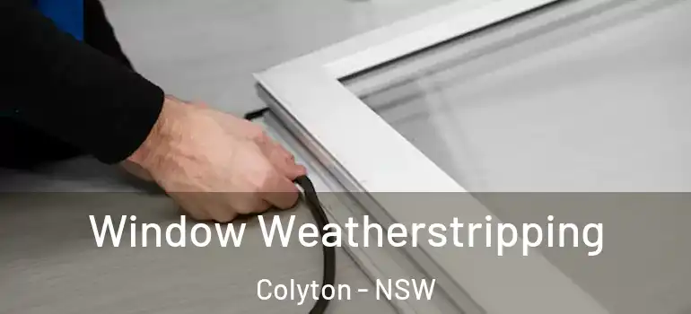 Window Weatherstripping Colyton - NSW