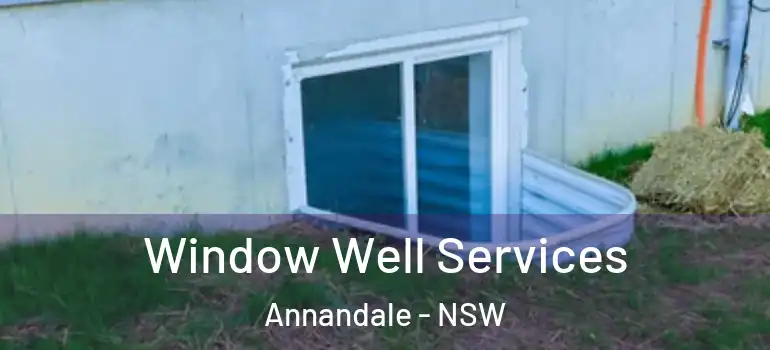 Window Well Services Annandale - NSW