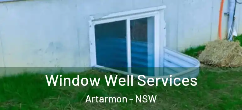  Window Well Services Artarmon - NSW
