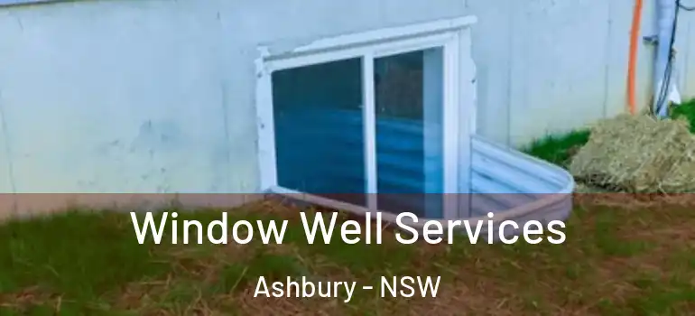  Window Well Services Ashbury - NSW