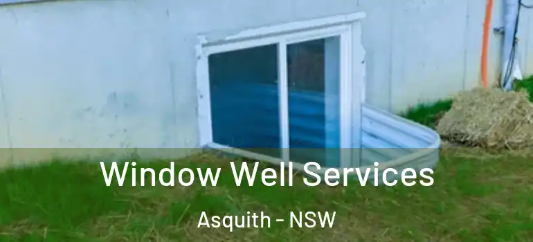 Window Well Services Asquith - NSW
