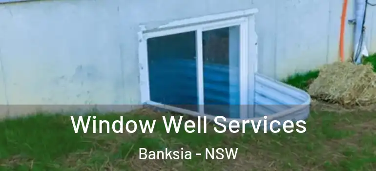  Window Well Services Banksia - NSW