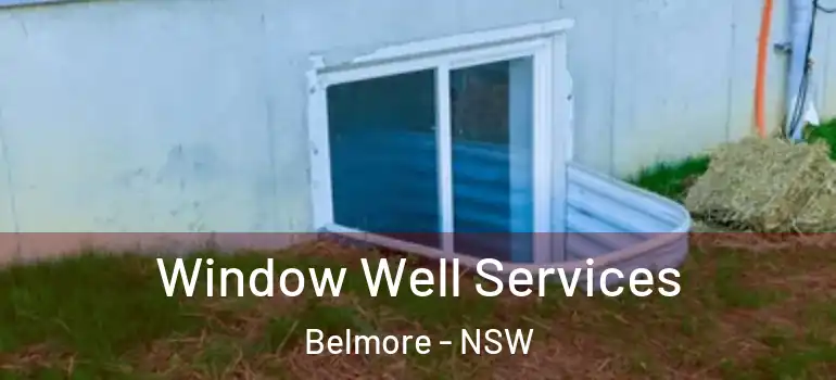Window Well Services Belmore - NSW