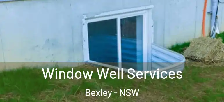 Window Well Services Bexley - NSW