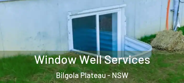  Window Well Services Bilgola Plateau - NSW