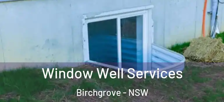  Window Well Services Birchgrove - NSW