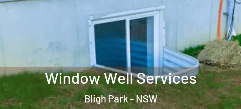Window Well Services Bligh Park - NSW