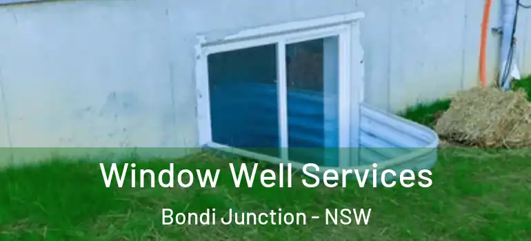 Window Well Services Bondi Junction - NSW