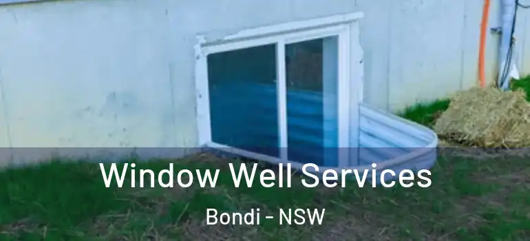  Window Well Services Bondi - NSW