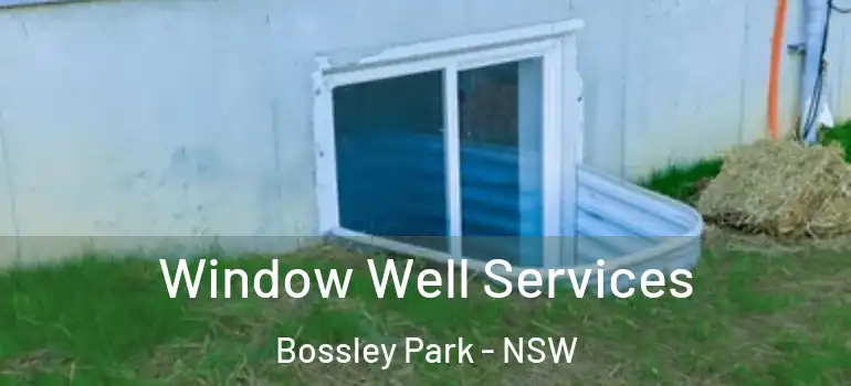 Window Well Services Bossley Park - NSW