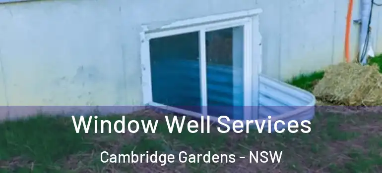 Window Well Services Cambridge Gardens - NSW