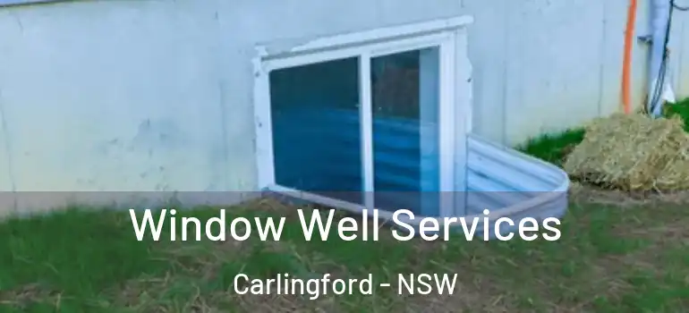  Window Well Services Carlingford - NSW