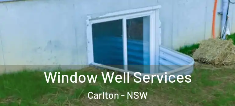 Window Well Services Carlton - NSW