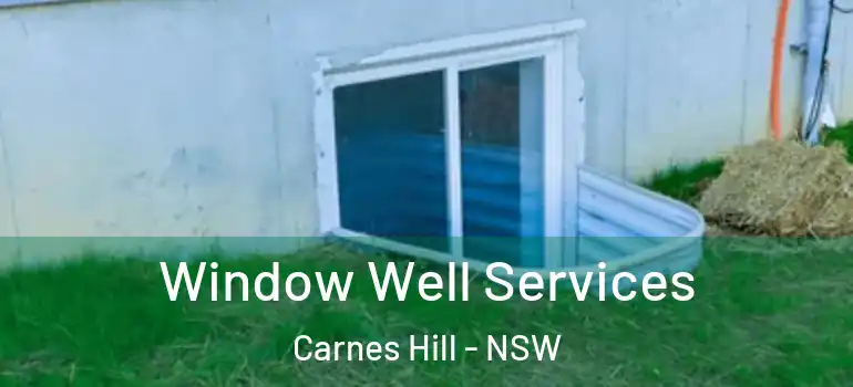 Window Well Services Carnes Hill - NSW
