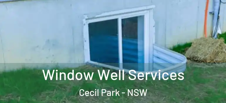 Window Well Services Cecil Park - NSW