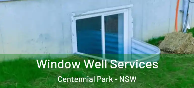 Window Well Services Centennial Park - NSW