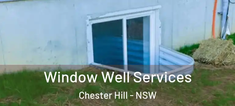 Window Well Services Chester Hill - NSW