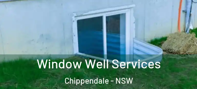 Window Well Services Chippendale - NSW