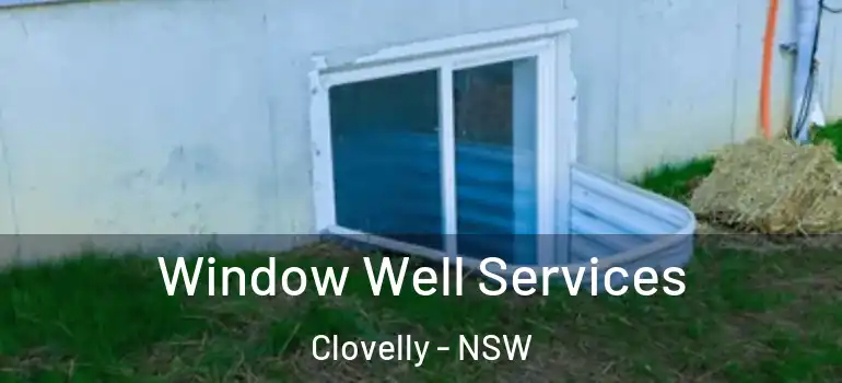 Window Well Services Clovelly - NSW