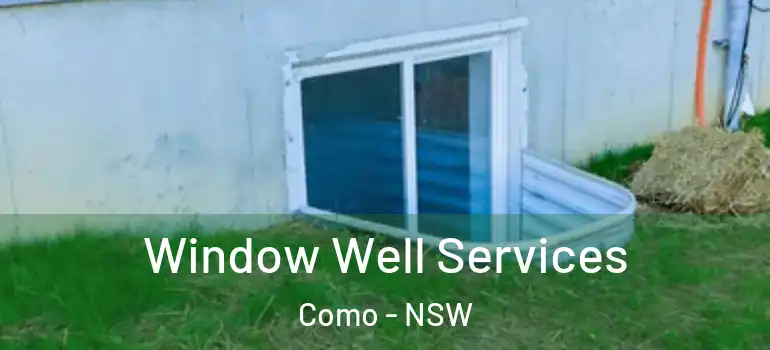 Window Well Services Como - NSW