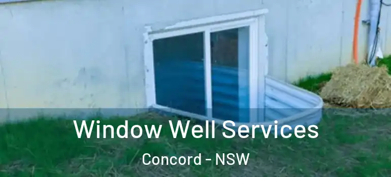 Window Well Services Concord - NSW