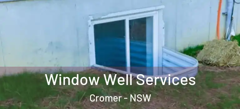 Window Well Services Cromer - NSW