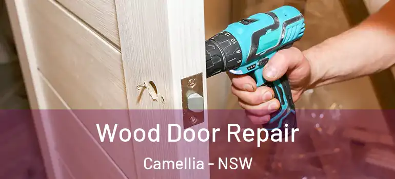 Wood Door Repair Camellia - NSW