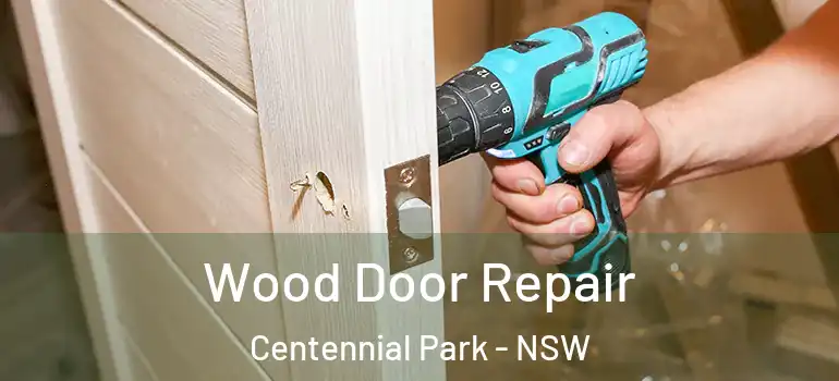 Wood Door Repair Centennial Park - NSW